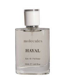 Hayal